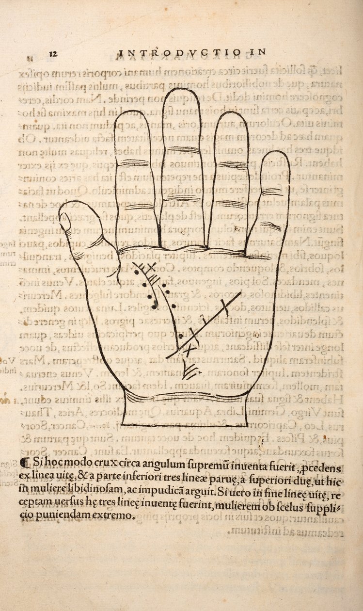 Illusztráció a Chiromantiából, Joannes Indagioe, Strasbourg, 1531 (nyomtatás és metszet) alkotó: French School