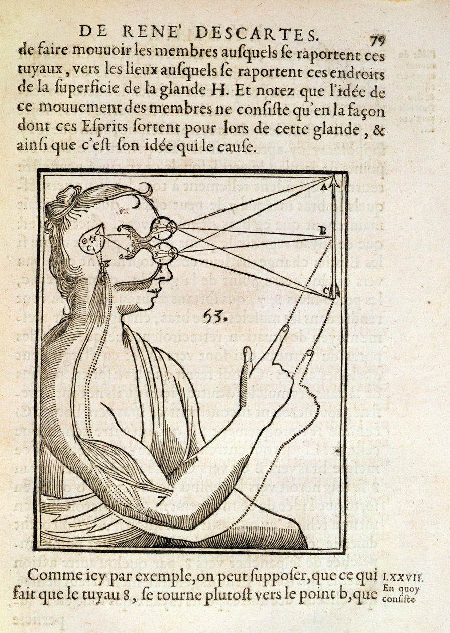 Illusztráció a De Homine Figurisból, Rene Descartes (1596-1650) Hágában, 1662 alkotó: French School