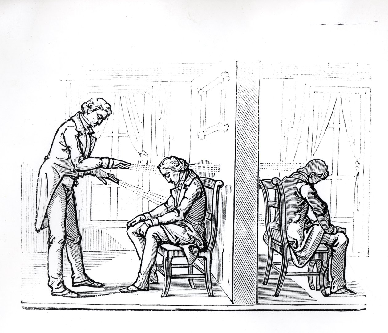 Illusztráció Du Poteter, az állatok mágnesességéről szóló munkájából, 1863 alkotó: French School