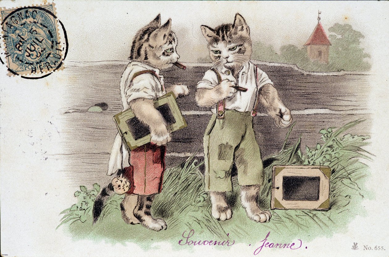 Illusztráció macskák helyzetben - képeslap 20. század elején. alkotó: French School
