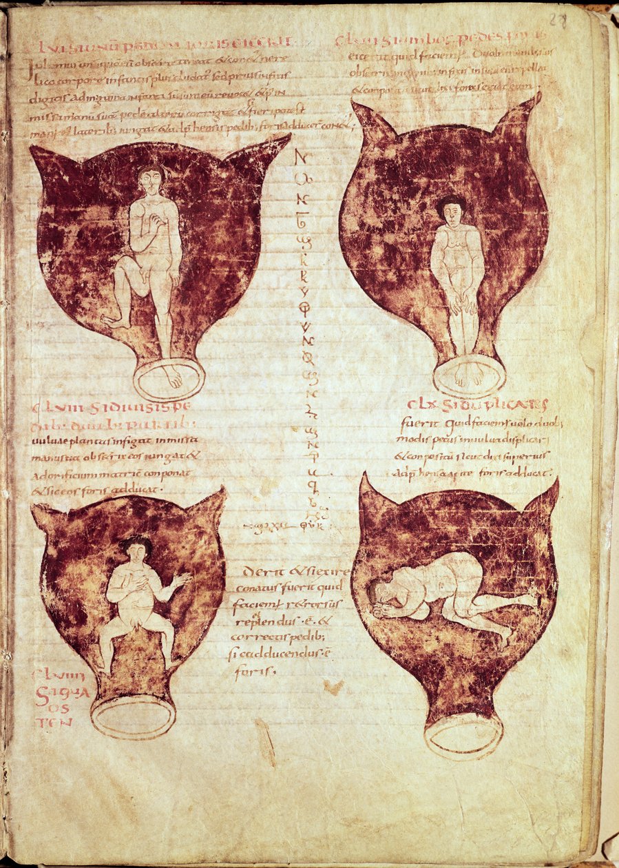 Illusztrációk a magzatról, az úgynevezett Rhodion-kéziratból alkotó: French School
