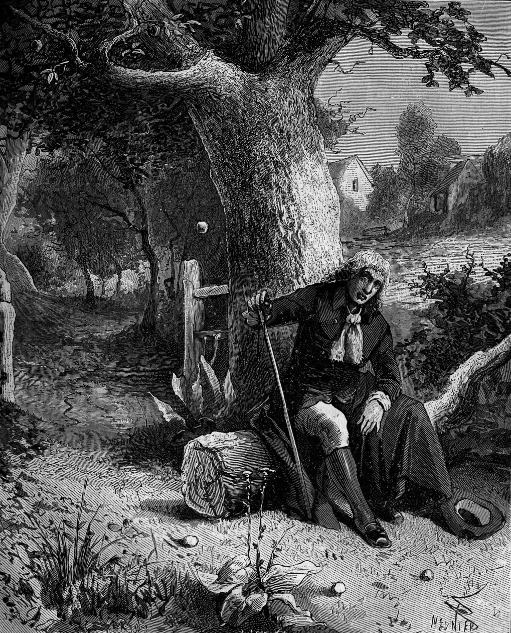 Isaac Newton (1642-1727), angol matematikus és csillagász, aki a woolsthorpe-i almafáról leeső almán keresztül fedezi fel a föld gravitációjának fogalmát. alkotó: French School