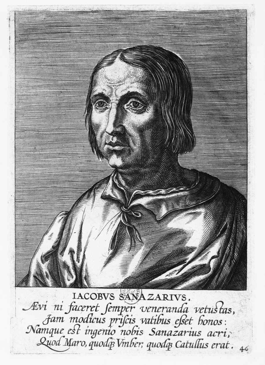 Jacopo Sannazaro (metszet) alkotó: French School