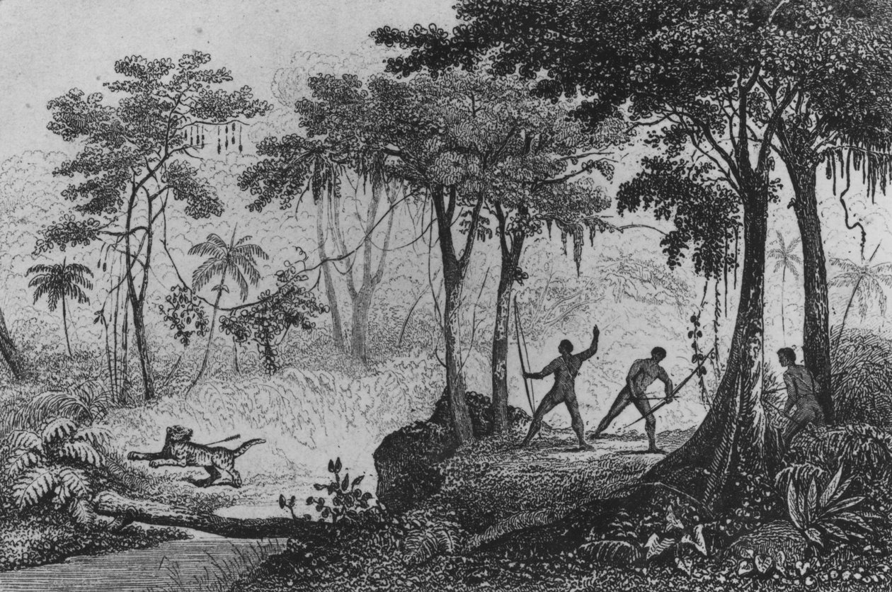 Jaguar Hunt, a „Bresil, Colombie et Guyanese”-ből, Ferdinand Denis és Cesar Famin 1837-ből alkotó: French School
