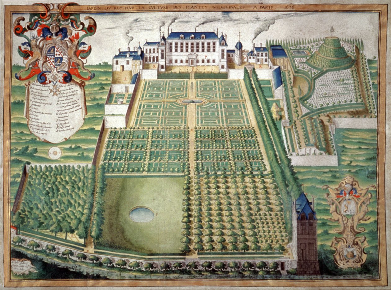 Jardin des Plantes, Párizs. 1636 (akvarell) alkotó: French School