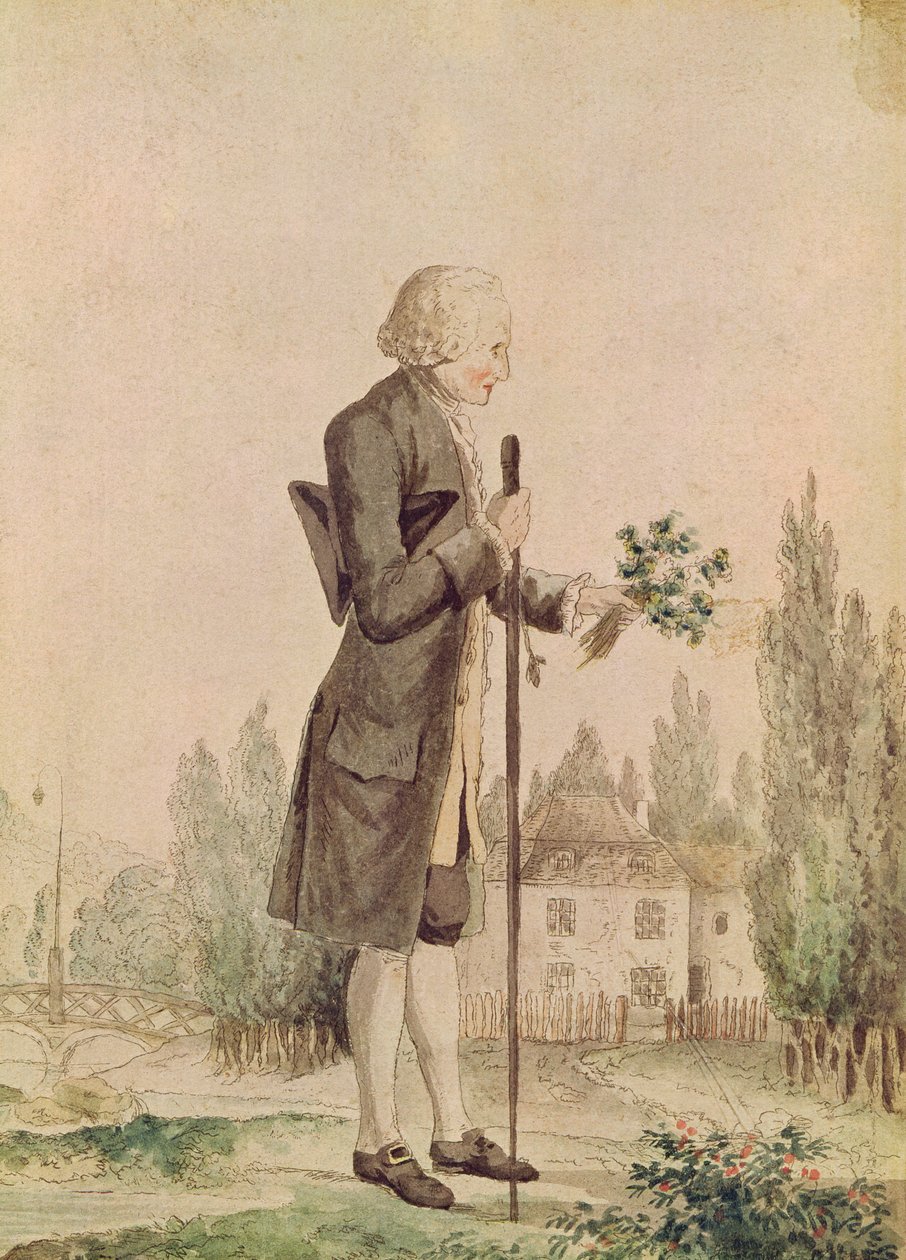 Jean-Jacques Rousseau (1712-78) Gyógynövényeket gyűjt Ermenonville-ben alkotó: French School