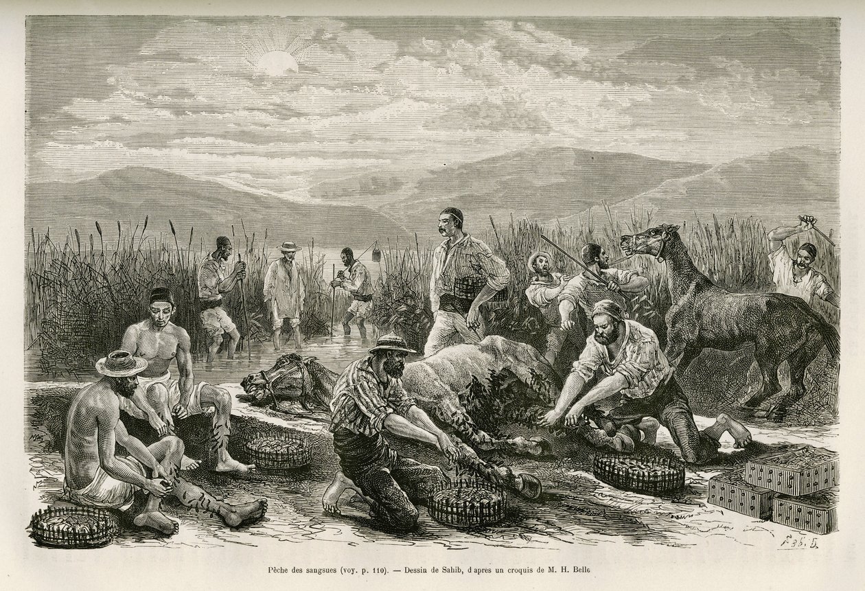 La peche des leeches, Sahib rajza Henri Belle történetének illusztrálására: Voyage en Greece alkotó: French School