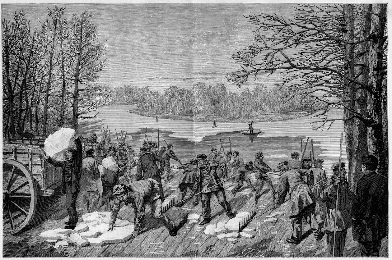 Jéggyűjtés a Bois de Vincennes befagyott tavain, a „The Illustrous World” 1887-ben. alkotó: French School