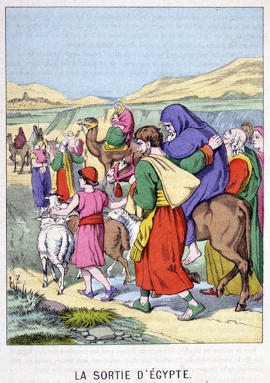 La sortie d