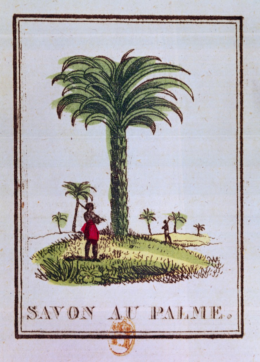 Címke pálmaolaj illatú szappanhoz, amely pálmafát ábrázol alkotó: French School