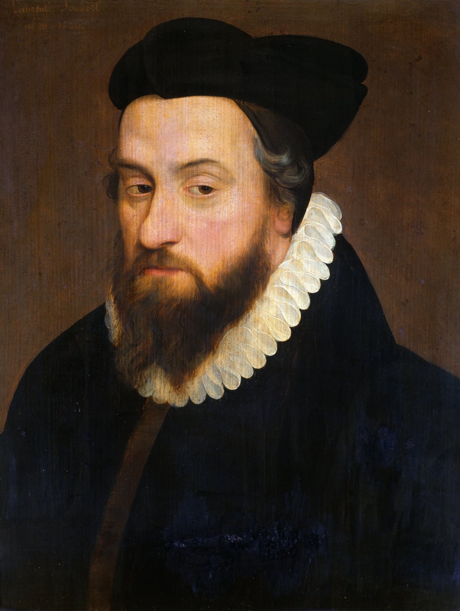 Laurent Joubert (1529-83) alkotó: French School