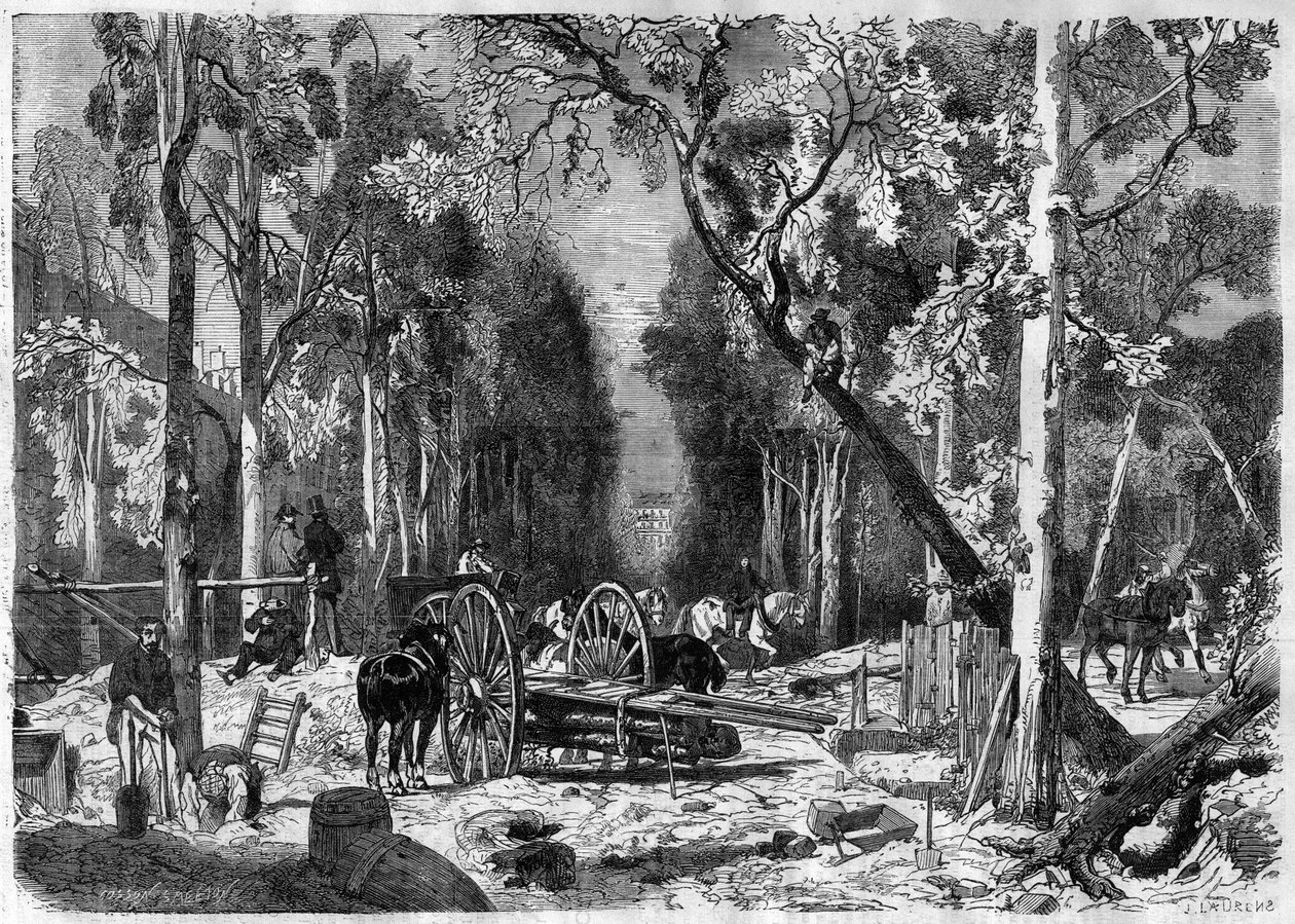 A favágó a párizsi luxemburgi kertben 1870-ben - Metszet 1870-ből alkotó: French School