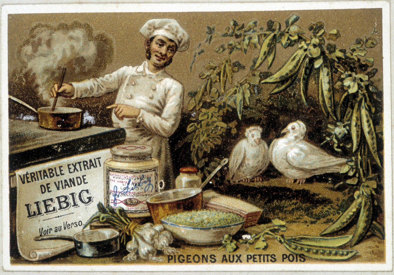 Liébig receptek: galambok borsóval - chromo. alkotó: French School