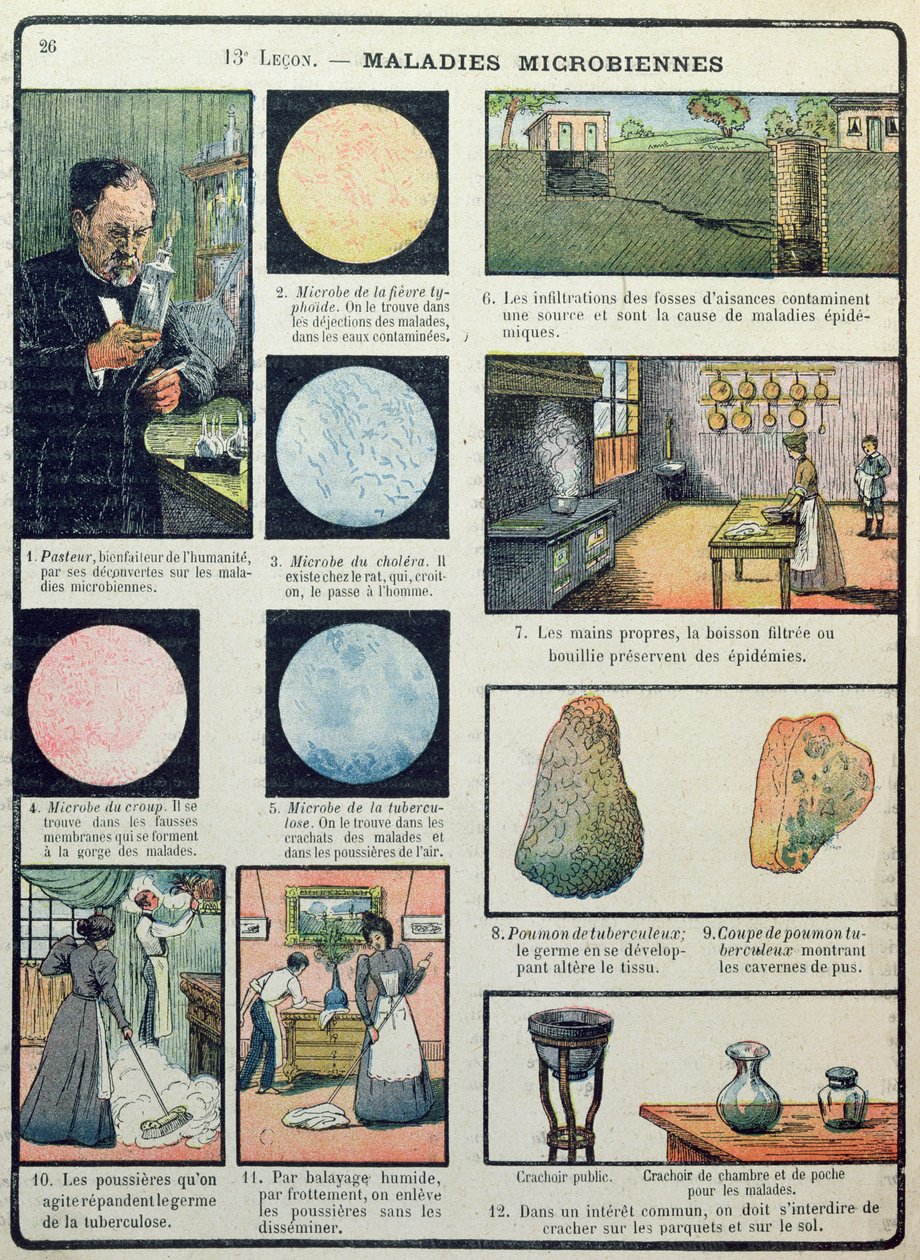 Louis Pasteur (1822-95) és bakteriális betegségek, a Les Sciences Physiques et Naturelles, Párizs, 1908 alkotó: French School