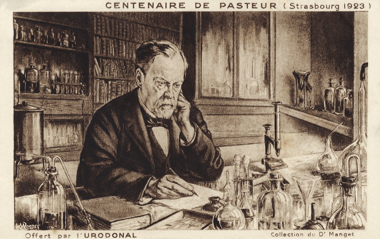 Louis Pasteur alkotó: French School