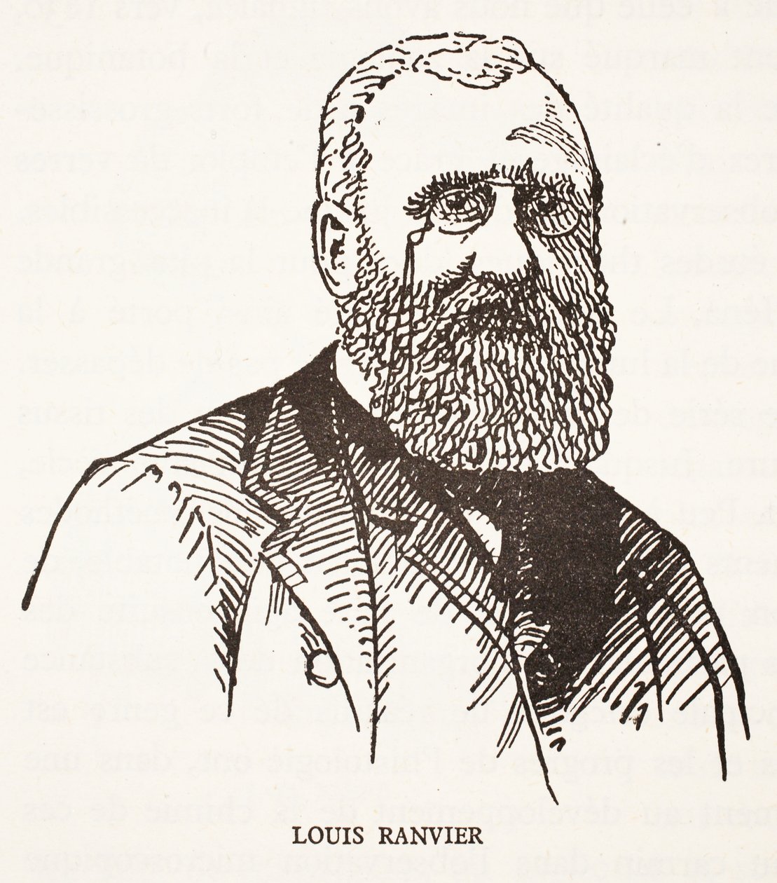 Louis Ranvier alkotó: French School