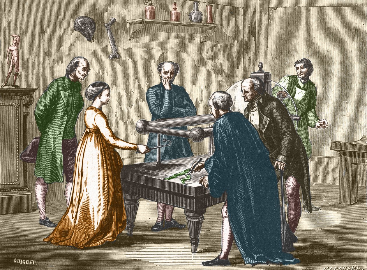 Luigi Galvani, bolognai professzor 1780-ban fedezte fel a békaizmok elektromosság általi ingerlékenységét – a „Tudomány albumában; jeles tudósok; Nagy felfedezések””” 1896. alkotó: French School