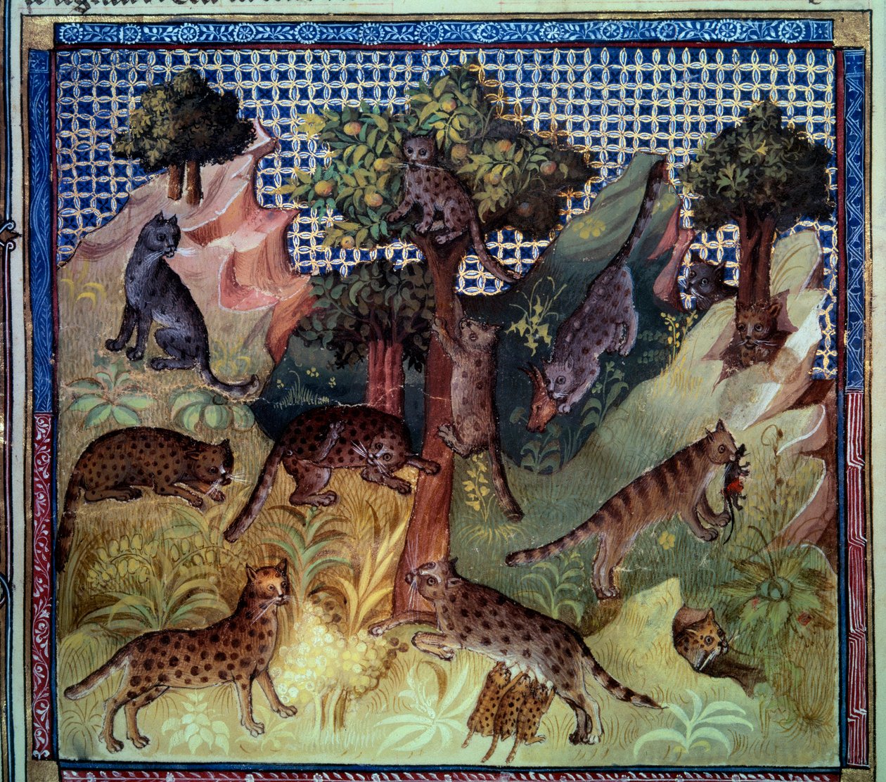 Lynx vadmacska a hegyekben. Miniatűr Gaston III Phoebus, Foix grófja, Bearn ura (1331-1391) „A vadászat könyvéből” alkotó: French School