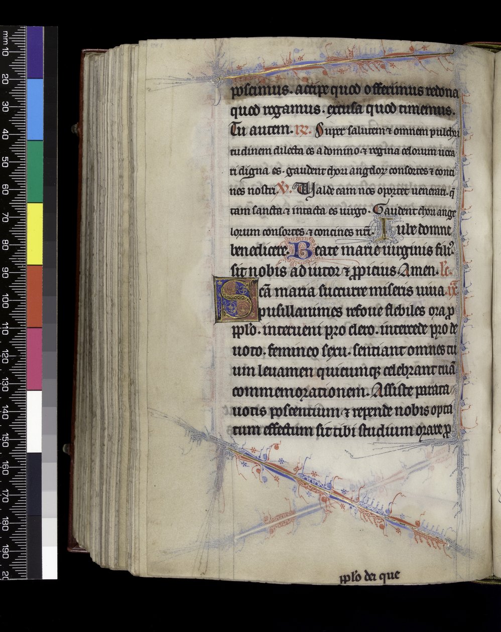 MS 300 f.189v, Matins, a francia Izabella zsoltárából és óráiból, Párizs, 1265-70 körül alkotó: French School