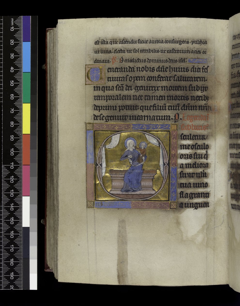 MS 300 f.284v, Énekek éneke, a francia Izabella zsoltárából és óráiból, Párizs, 1265-70 körül (toll, tinta és tempera pergamenen) alkotó: French School