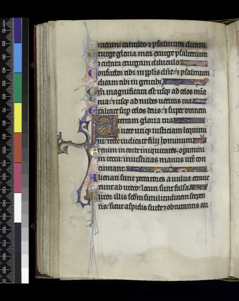 MS 300 f.61v, fólió a francia Izabella zsoltárából és óráiból, Párizs, 1265-70 körül alkotó: French School