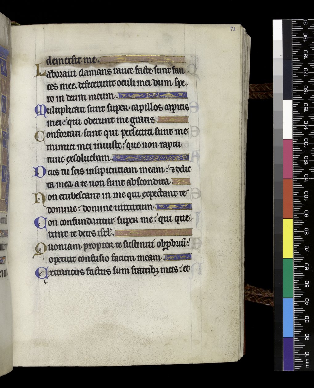 MS 300 f.71r, a francia Izabella zsoltárából és óráiból, Párizs, 1265–1270 körül (toll, tinta és tempera pergamenen) alkotó: French School