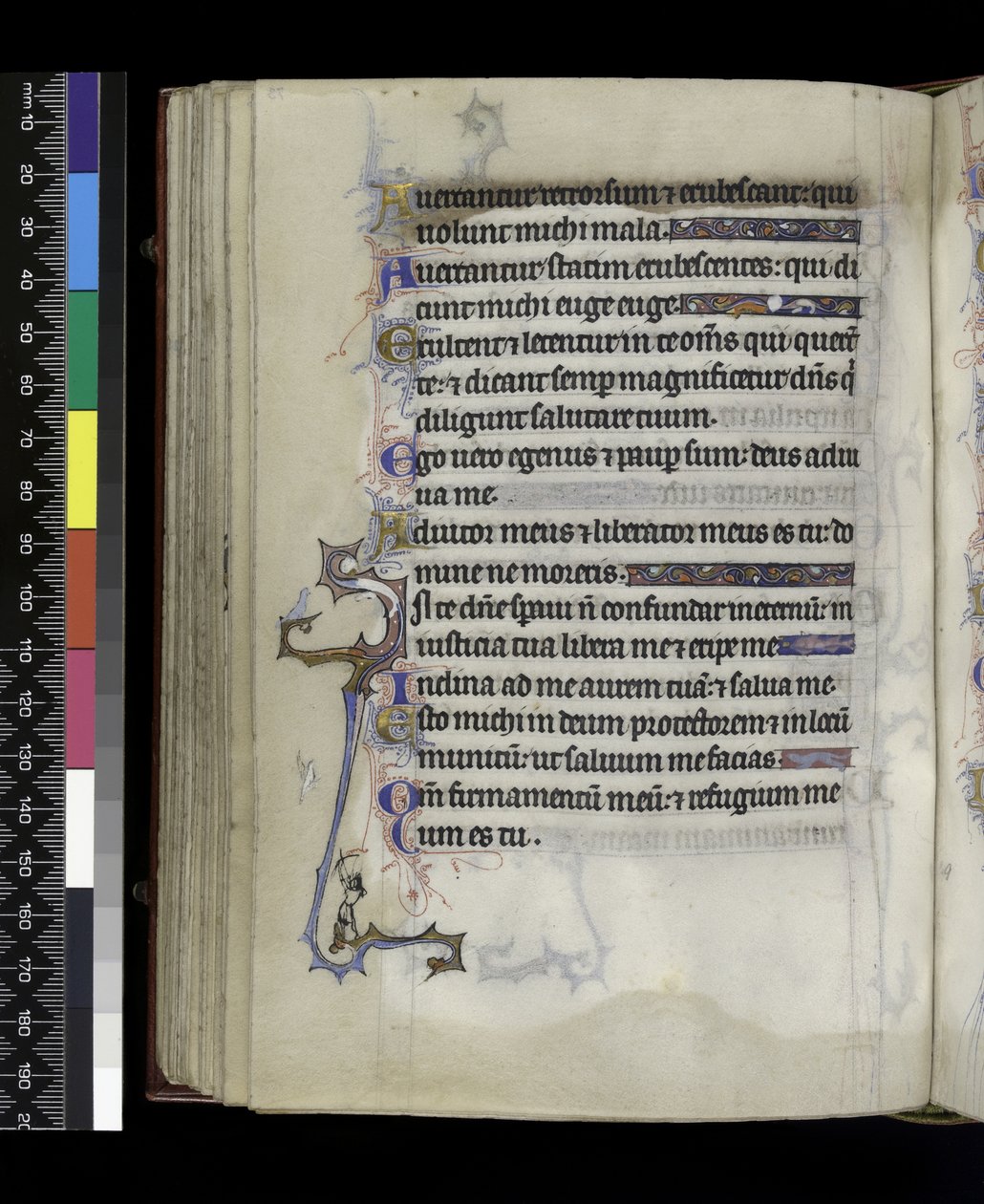 MS 300 f.73v, a francia Izabella zsoltárából és óráiból, Párizs, 1265-70 körül alkotó: French School