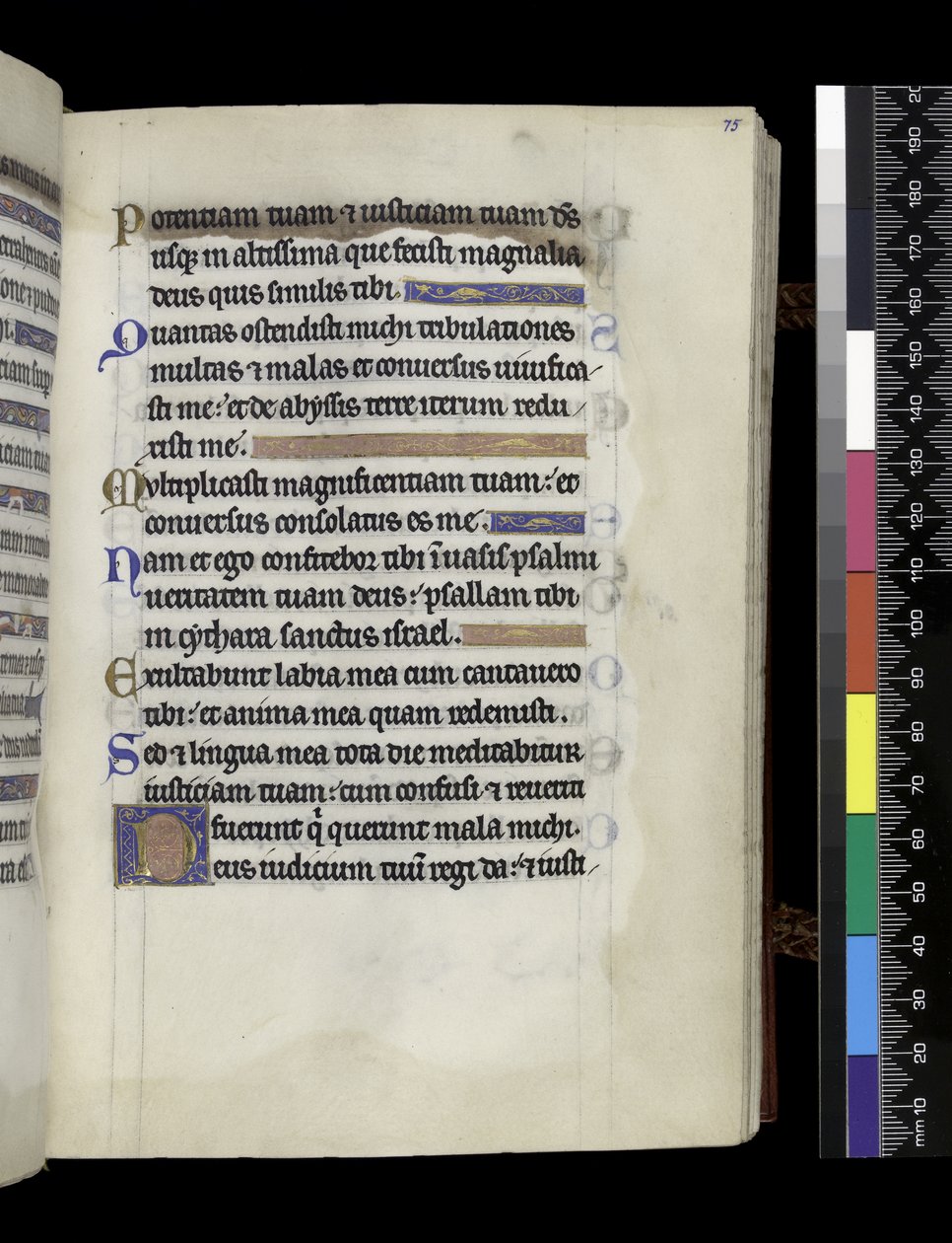 MS 300 f.75r, a francia Izabella zsoltárából és óráiból, Párizs, 1265–1270 körül (toll, tinta és tempera pergamenen) alkotó: French School