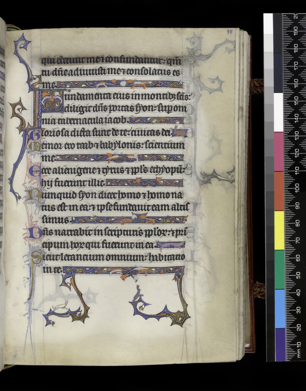 MS 300 f.95r, fólió a francia Izabella zsoltárából és óráiból, Párizs, 1265-70 körül alkotó: French School