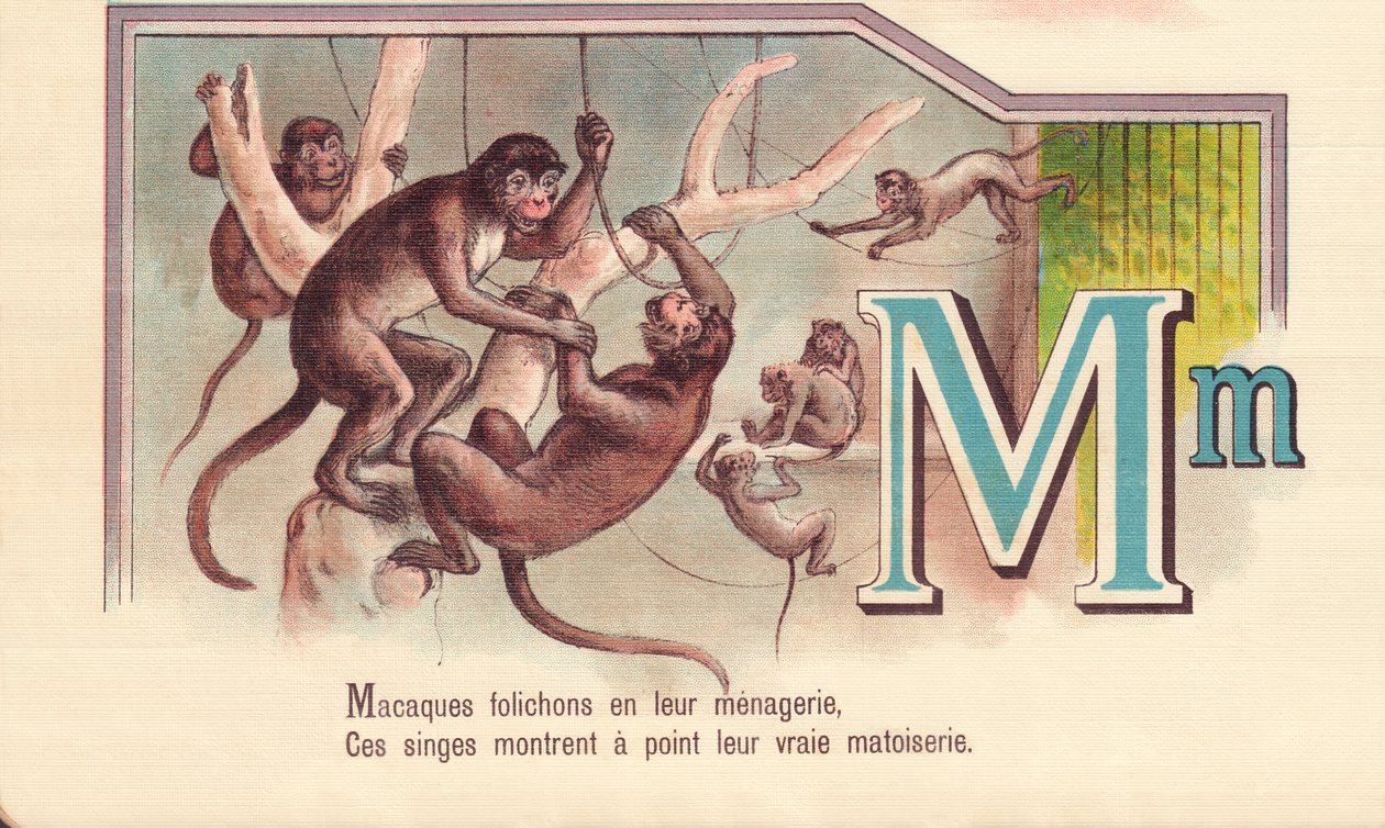 M: Makákók szórólapok a menagerie, Ezek a majmok mutatják meg az igazi matoiserie alkotó: French School