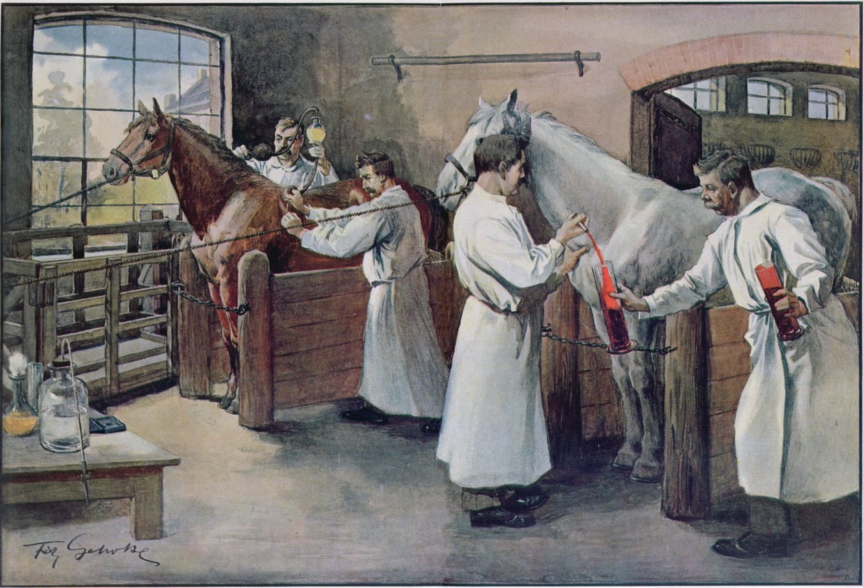 Diftéria szérum készítése lóvérből, Les Animaux-ból, 1900 körül alkotó: French School