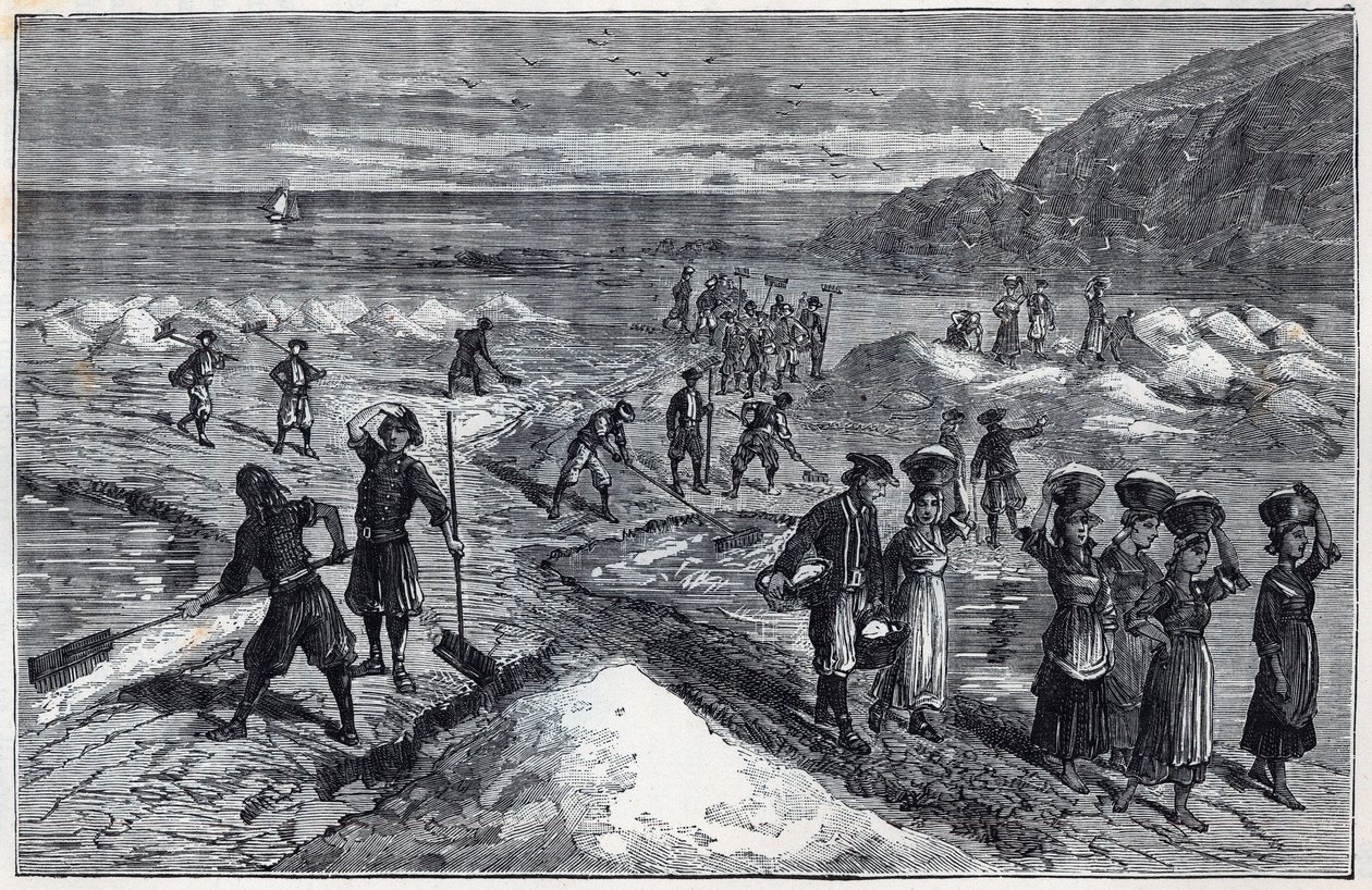 Marais salants de Bretagne a 19. században - Alexis Clerc vésése „A tudományok az ösztöndíjakra – fizika és kémia” - 19. század vége - Magángyűjtemény alkotó: French School