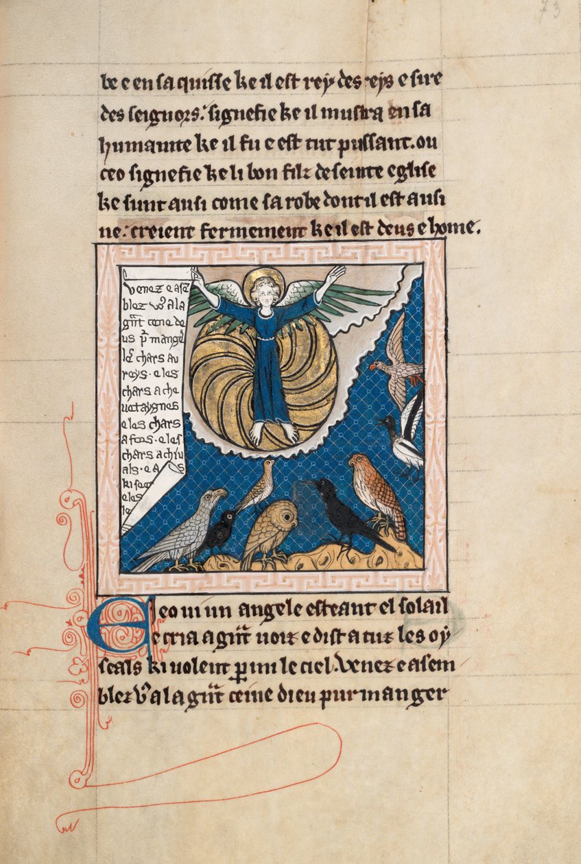 Ms65 f73r, Kommentár Szent János apokalipsziséhez, 13. század vége (toll, tinta és tempera pergamen) alkotó: French School