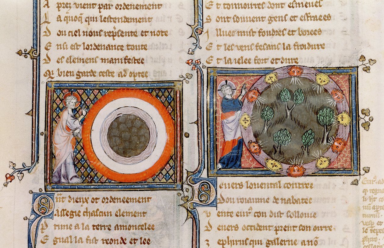 Ms 1044 fol.17v The Creation, az Ovide Moralise-ból, írta Chretien Legouais alkotó: French School
