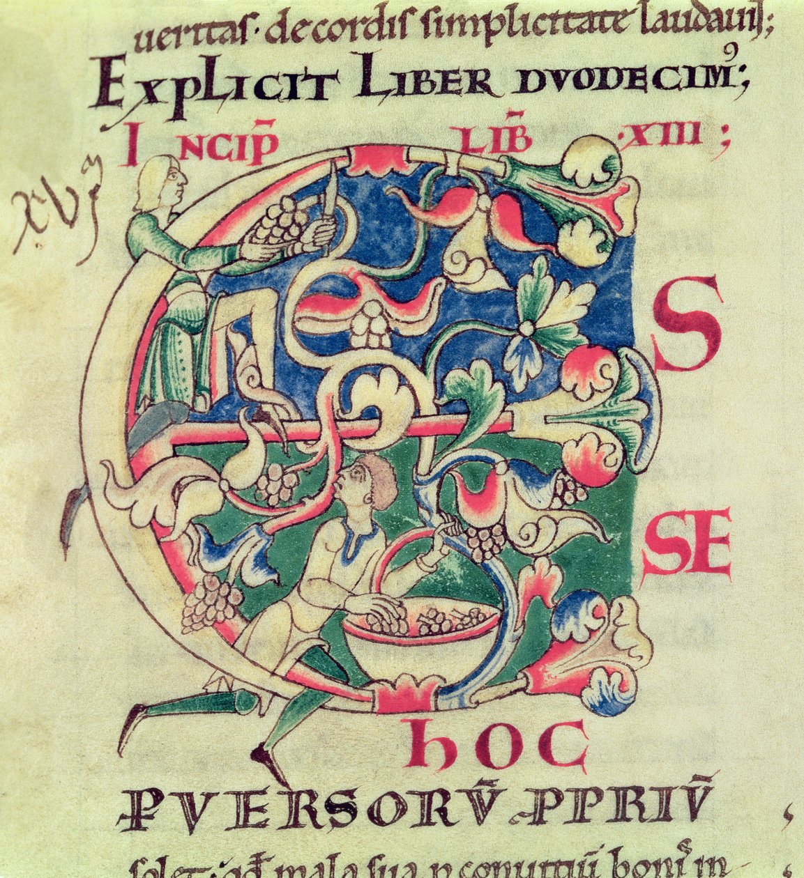 Ms 173 f.32 A szőlőszüretet ábrázoló történeti E kezdőbetű, Nagy Gergely pápa Moráliájából Jóbban alkotó: French School