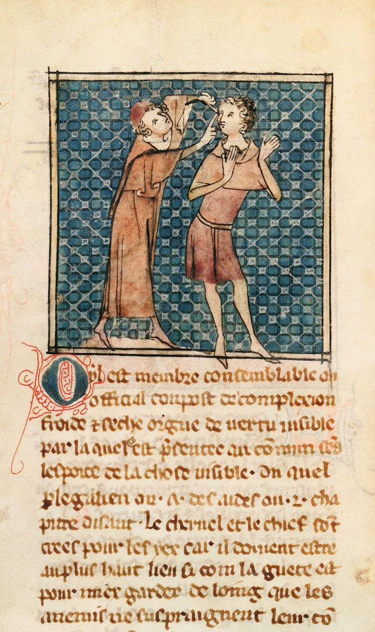 Ms 2030 fol.17 Szemészet, illusztráció a La Chirurgie de Maitre Henri de Mondeville-ből alkotó: French School