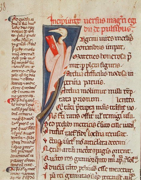 Ms 2046 fol.438 Egy madár, aki Gilles de Corbeil (1165-1222) könyvét tartja Hippokratész „Aforizmái”-ból (Kr. e. 460-kb. 377), Claudius Galenus (kb. 130-kb. 201) kommentárjával (vellum) alkotó: French School