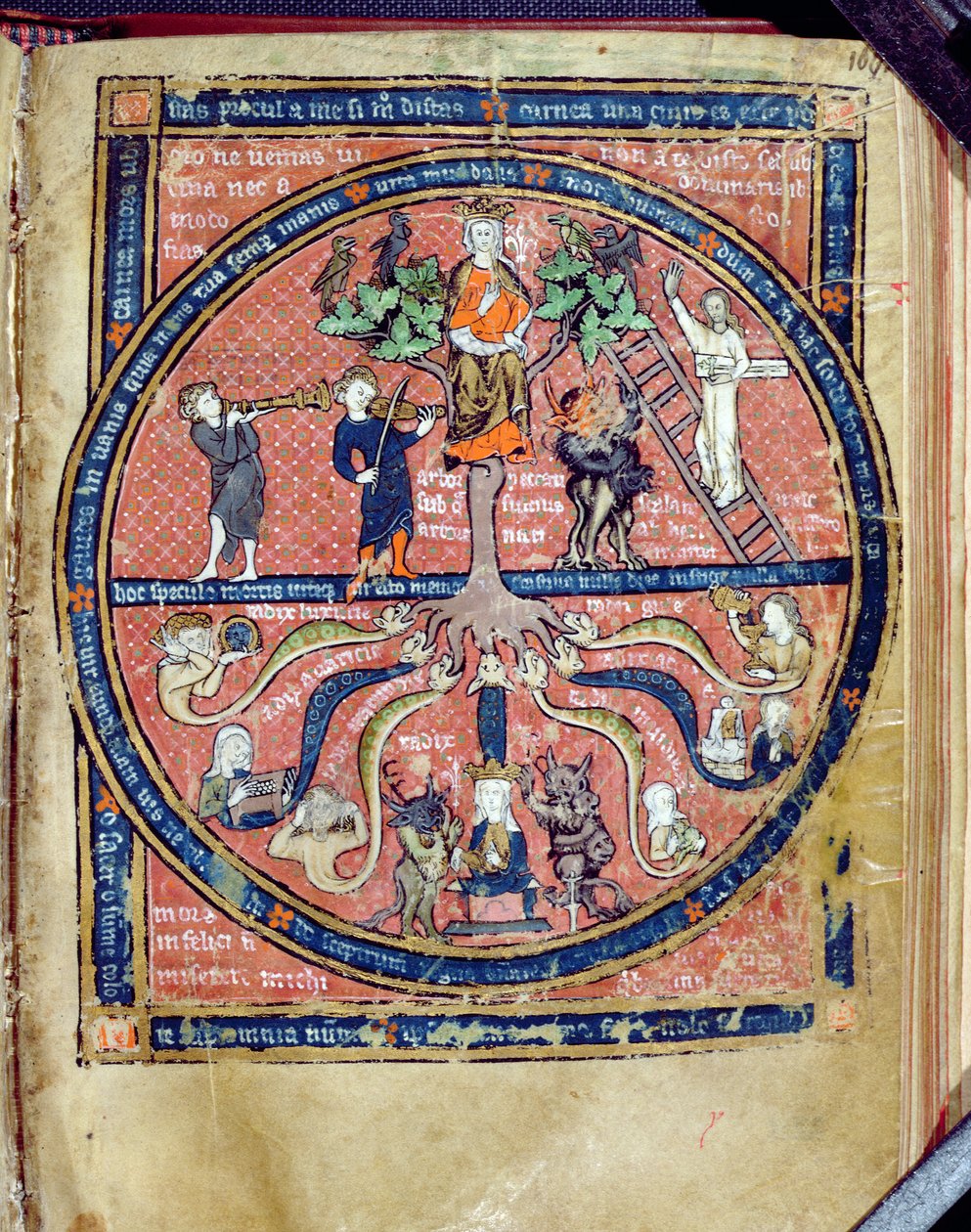 Ms 2200 allegorikus fa, a De Philosophia Mundiból, Guillaume de Conches (1100-54) 1276-77 alkotó: French School
