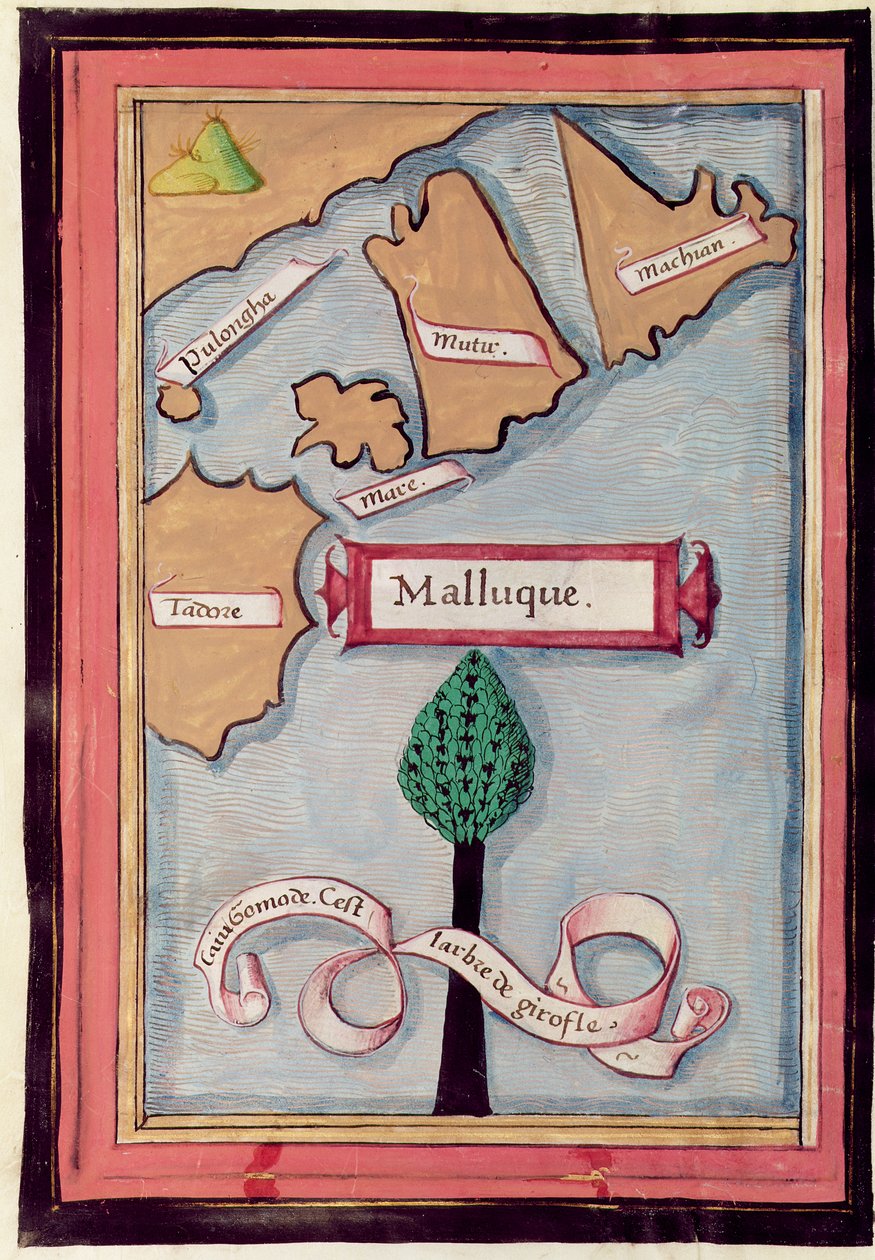 Ms 24224 Fol.73v Fűszer-szigetek térképe Ferdinand Magellán utazásának beszámolójából alkotó: French School