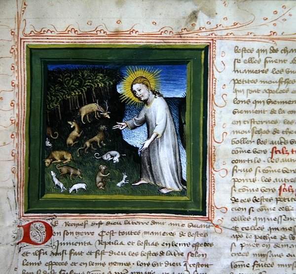 Ms 313 Az állatok teremtése, a Bible des Grands Augustins-ból alkotó: French School