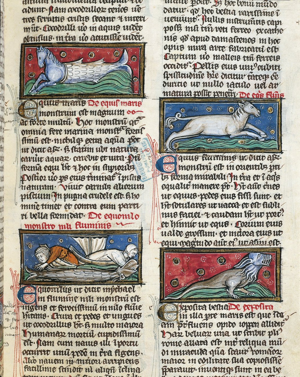Ms 320 Fol.115r Sea Monsters, Thomas van Cantimpre (1201-72) „De Natura rerum” című művéből (vellum) alkotó: French School