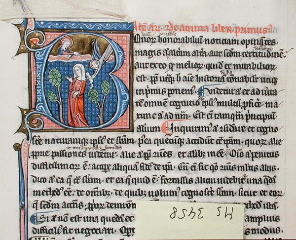 Ms 3458 Angel gyermeket szül egy születendő nőnek, Arisztotelész „fizikájából” (toll, tinta és tempera pergamen) alkotó: French School