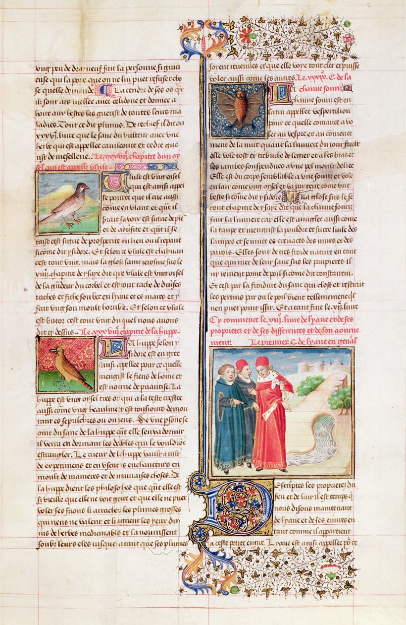 Ms 399 fol. 149 A teknősbéka, a hurka és a denevér tulajdonságai, angol Barthelemy „Livre des Proprietes des Choses” című művéből alkotó: French School