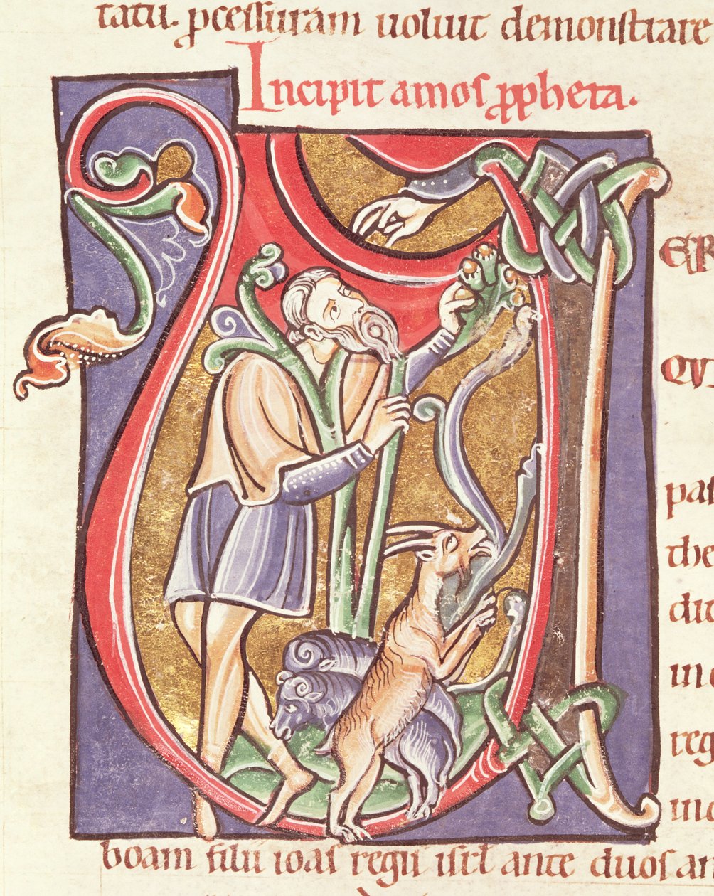 Ms 3 fol.234v, Amost ábrázoló, előzményezett V kezdőbetű a Saint-Sulpice de Bourges Bibliából alkotó: French School