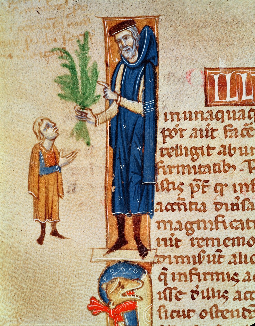 Ms 413 f.92v Gyógynövények, Claudius Galenus (kb. 130-kb. 201) illusztrációja a Traite de Medecine-ből, Gerard de Cremone (1114-87) fordításában alkotó: French School