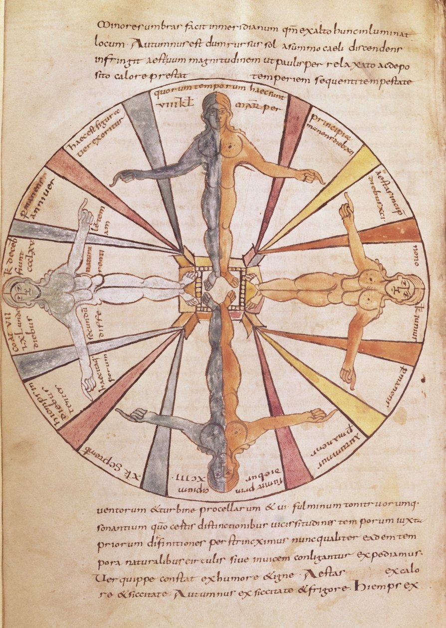 Ms 422 fol.6v Az évszakok és hónapok kereke, a De Natura Rerumból, Sevillai Szent Izidortól alkotó: French School