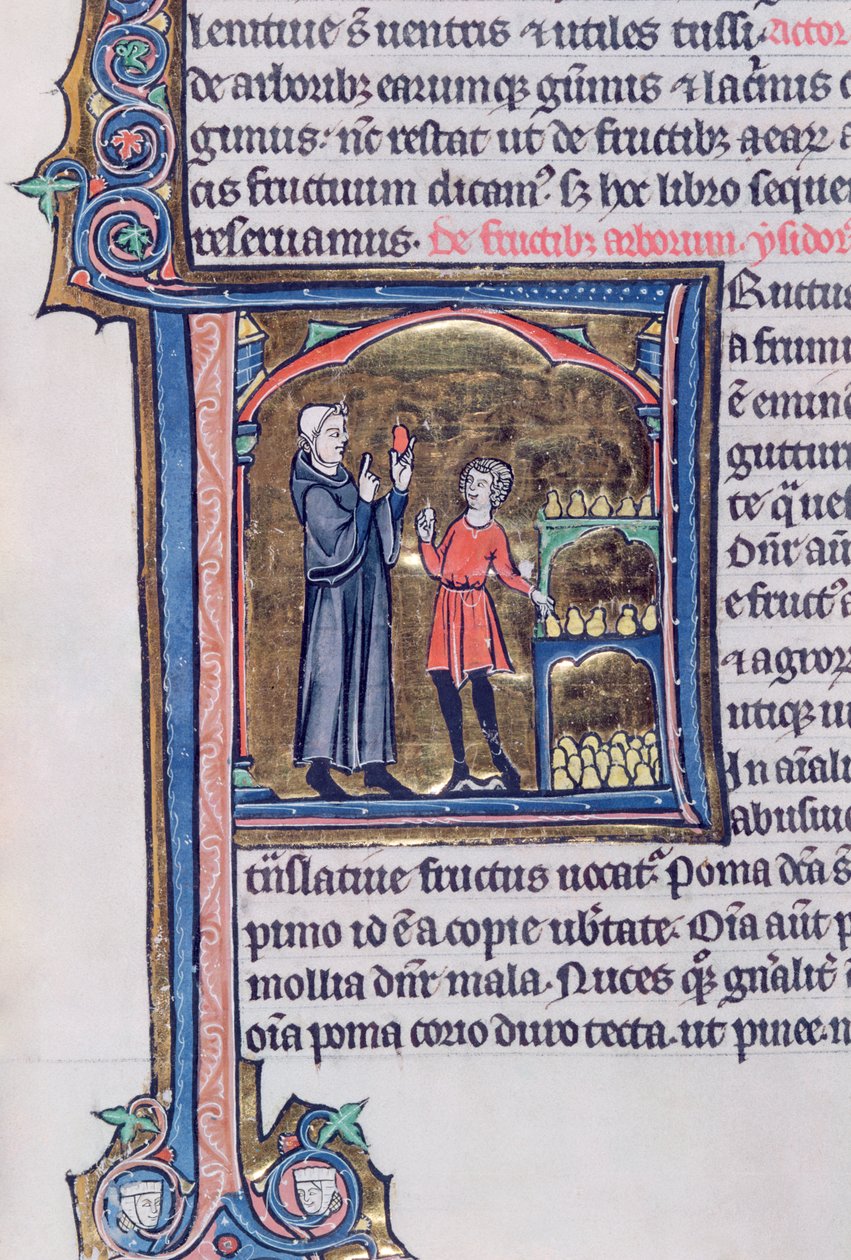 Ms 426 fol.135 A körte tartósításának legjobb módja, a Le Miroir de la Nature, Vincent de Beauvais alkotó: French School