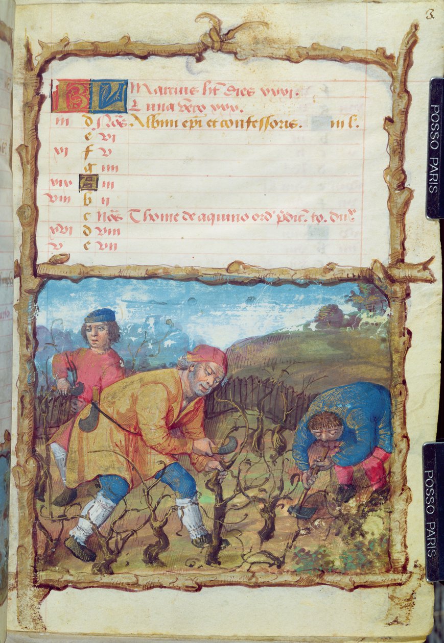Ms 438 A Március hónapja: A szőlőmetszés, az órakönyvből, 1490 alkotó: French School