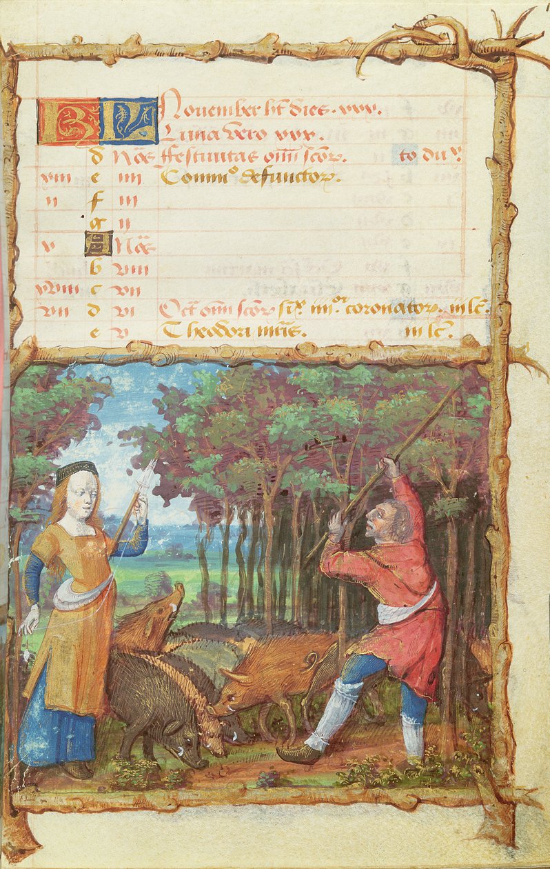 Ms 438 A november hónapja: makkgyűjtés, az órák könyvéből, 1490 alkotó: French School