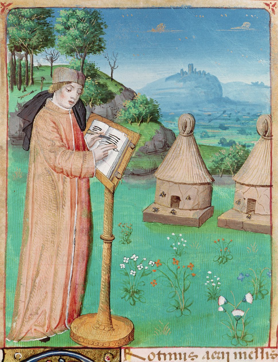 Ms 493 fol.45 Vergilius (Kr. e. 70-19) a méhek életének megírása, Vergilius A Georgicsokból Servius kommentárjával, 1469 alkotó: French School